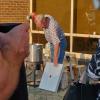 IMG_20190911_184244